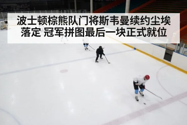 ice hockey game