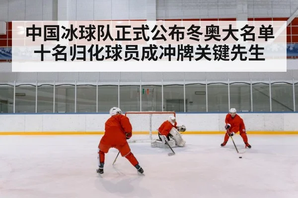 中国冰球队正式公布冬奥大名单 十名归化球员成冲牌关键先生
