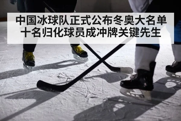 ice hockey player action